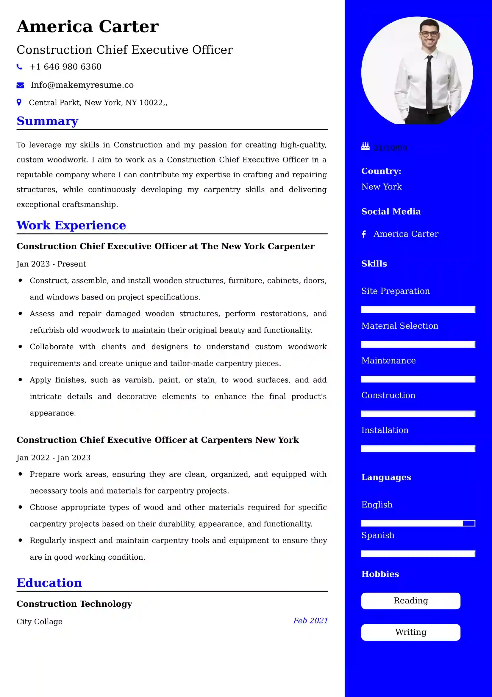 Construction Chief Executive Officer CV Examples - US Format